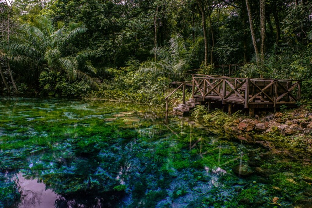 A Nascente Azul tem águas tranquilas e a flutuação pode ser feita por crianças e idosos (Imagem: Gustavo Castellon | Shutterstock)