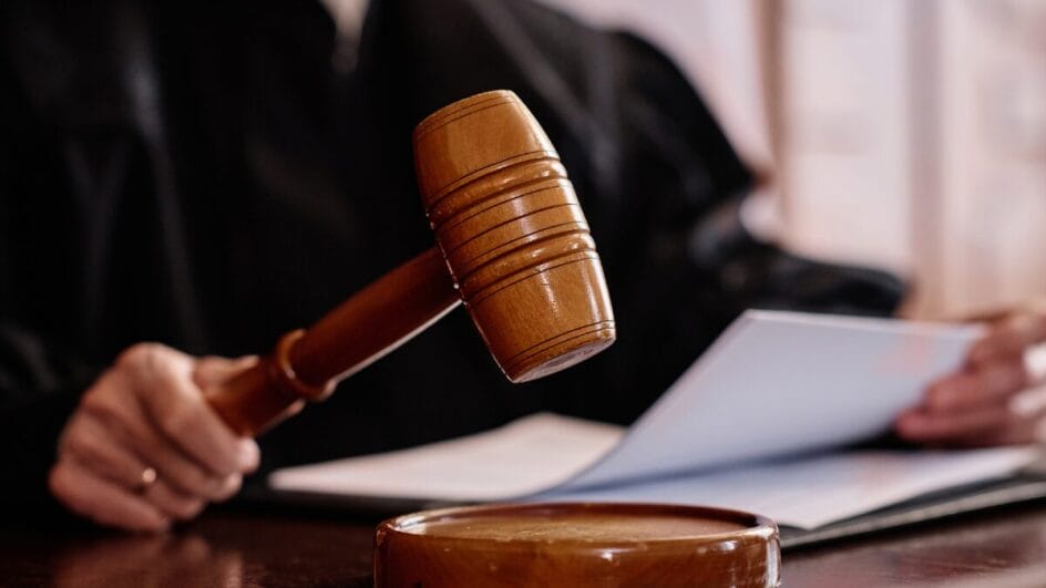 Pensões alimentícias equivalem às ações de alimentos no Tribunal de Justiça de Santa Catarina (Foto: Banco de Imagens)