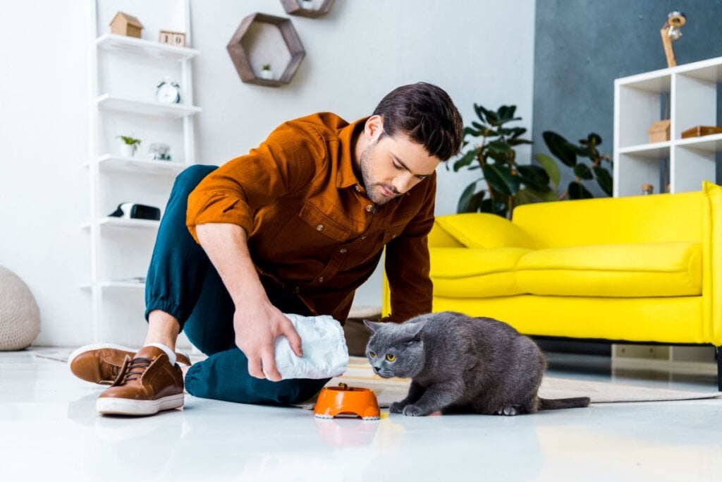 Uma alimentação equilibrada é fundamental para manter os pelos dos pets saudáveis (Imagem: LightField Studios | Shutterstock)