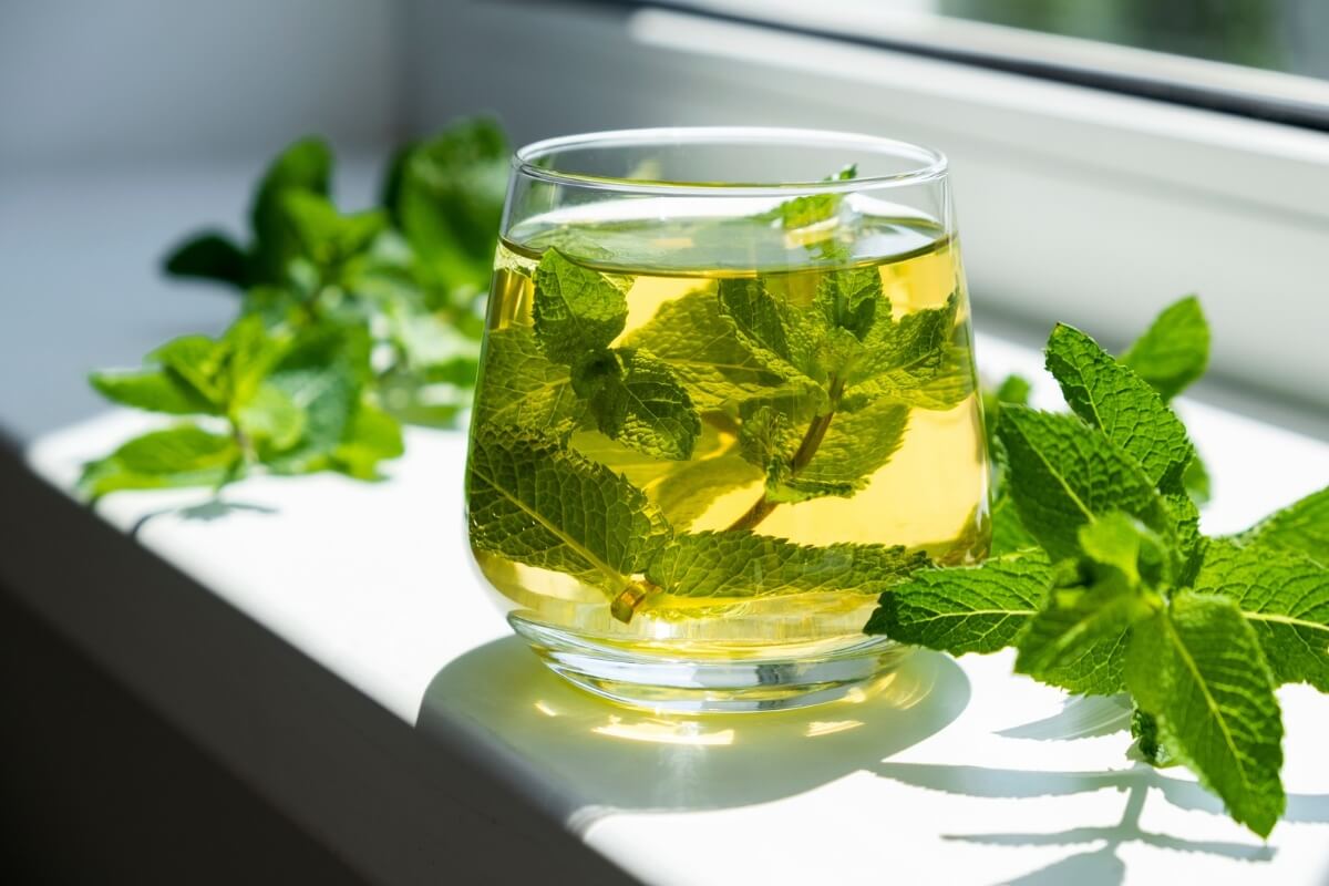 Chá de hortelã é rico em nutrientes e auxilia na saúde geral do organismo (Imagem: Nemer-T | Shutterstock)