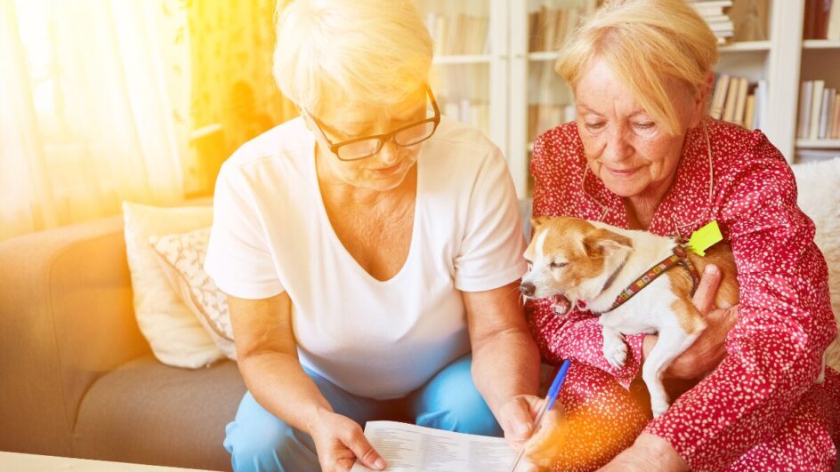 Como manter o cérebro sempre jovem e envelhecer com qualidade
