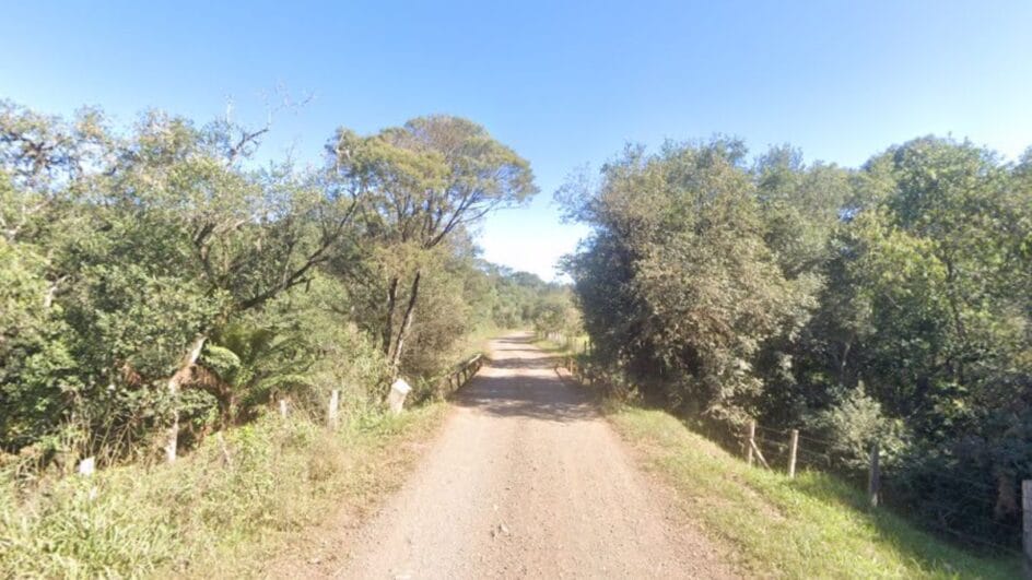 Idosa estava desaparecida em mata fechada de SC (Foto: Google Maps, Reprodução)