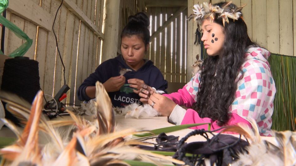 Indígenas de SC (Foto Jean Mazzonetto, NSC)