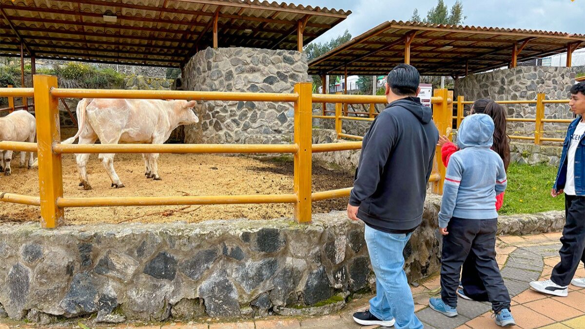 Zoológico faz parte do complexo onde está localizado o CT do Mushuc Runa  - (Foto: Redes Sociais, Mushuc Runa)