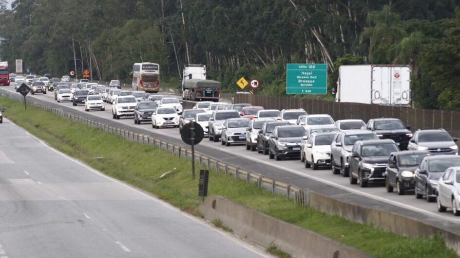 Cinco morreram atropelados em rodovias federais de SC no feriadão (Foto: Luiz Carlos de Souza, NSC TV)