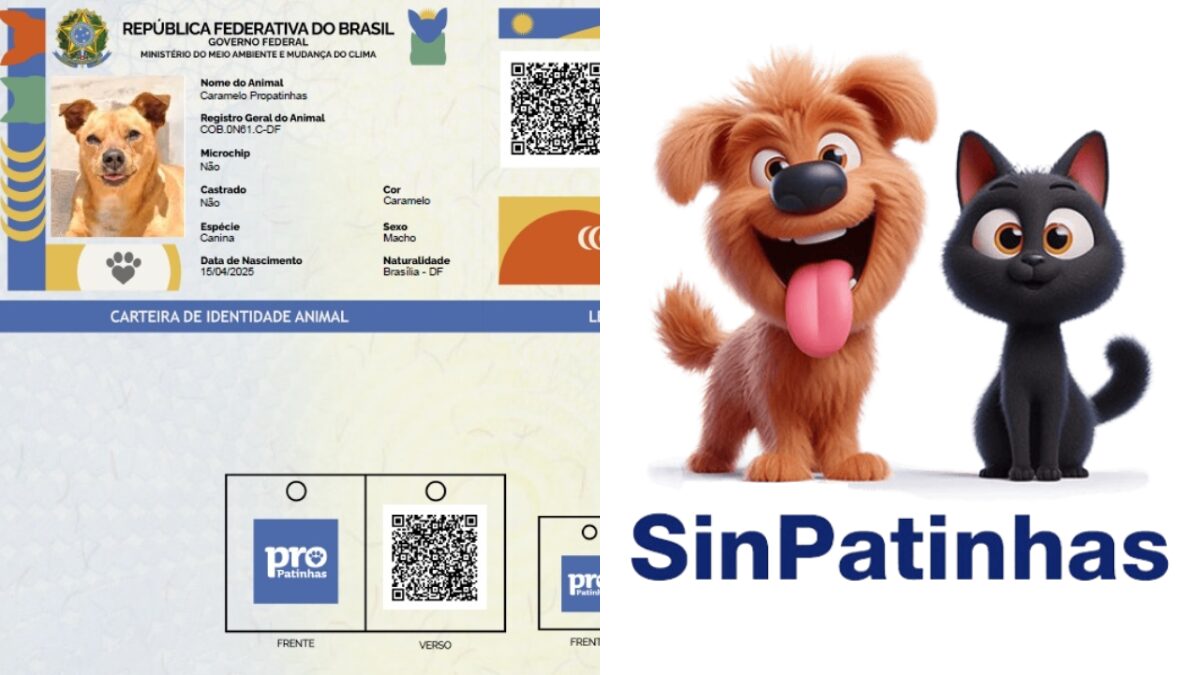 Veja como fazer o cadastro do seu cão ou gato e tirar o RG animal para seu pet