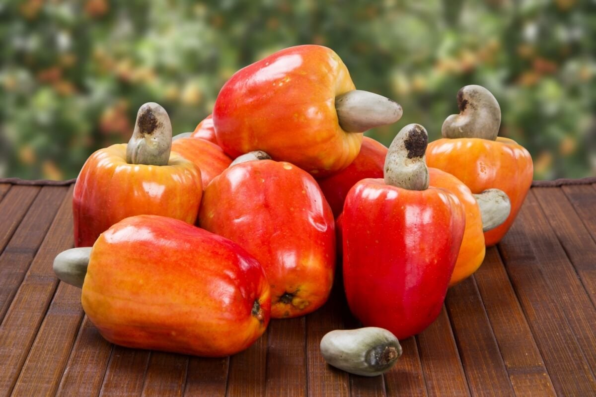 O caju é rico em nutrientes essenciais para o bom funcionamento do organismo (Imagem: Paulo Vilela | Shutterstock)