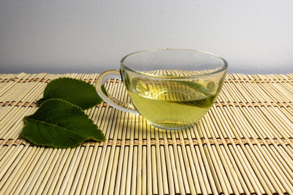 Ch&aacute; de boldo (Imagem: Studio Neeby | Shutterstock)