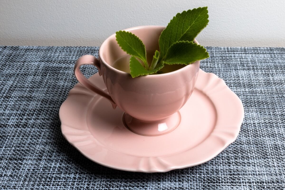 Chá de boldo com gengibre e limão (Imagem: Studio Neeby | Shutterstock)