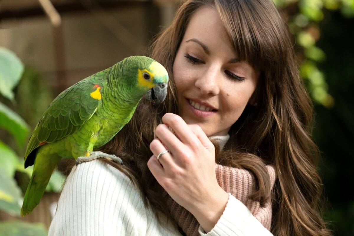 Os papagaios podem reproduzir falas humanas (Imagem: Creative Wright | Shutterstock)