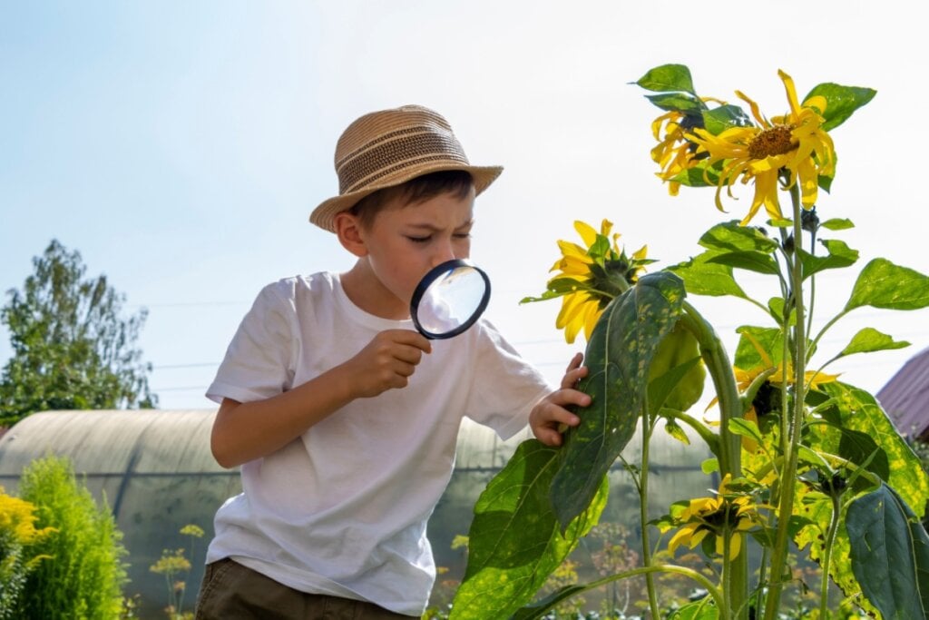 Parques, praças e áreas verdes em espaços urbanos podem se transformar em uma “expedição” para observar plantas (Imagem: FamStudio | Shutterstock)