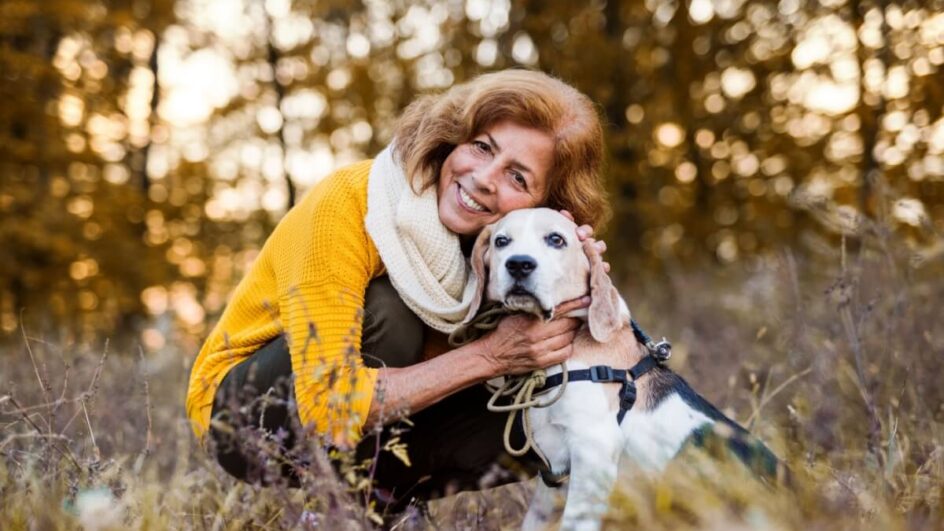 O passeio é fundamental para preservar a qualidade de vida dos cachorros idosos (Imagem: Ground Picture | Shutterstock)