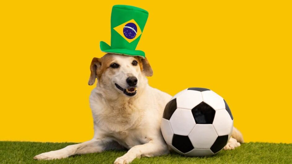 Colocar nome de jogador no seu cachorro pode ser uma forma divertida de celebrar duas paixões: pets e futebol (Imagem: Gabriela Bertolini | Shutterstock)