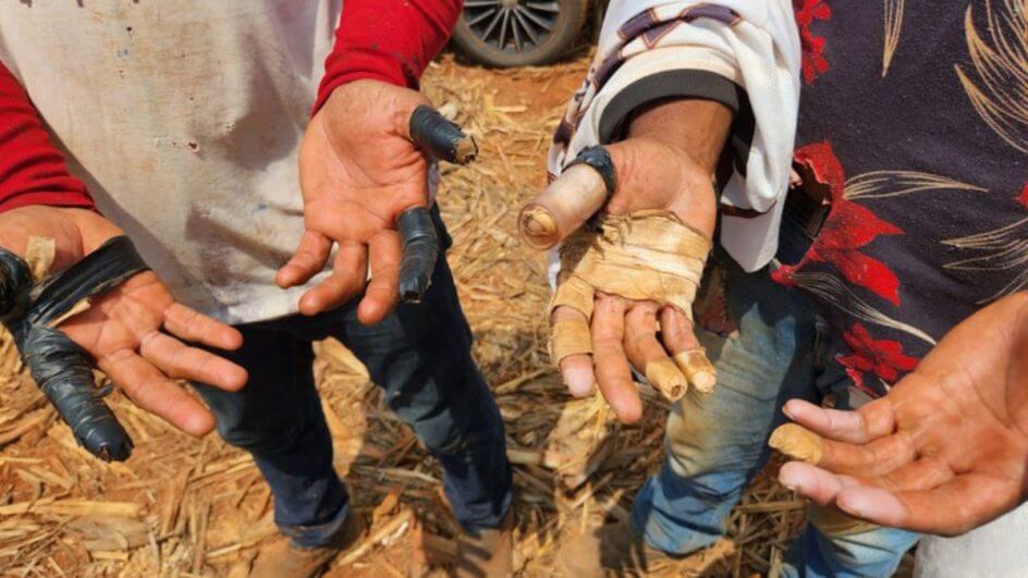 trabalho-escravo-foto-mtedivulgacao-944x531