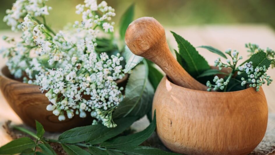 A valeriana é utilizada por seus efeitos relaxantes e calmantes (Imagem: Lipatova Maryna | Shutterstock)