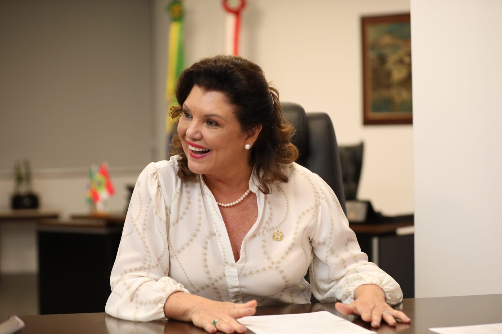 “Chamava de vossa excelência e era tratada como mulherzinha”, diz vice-governadora de SC (3)