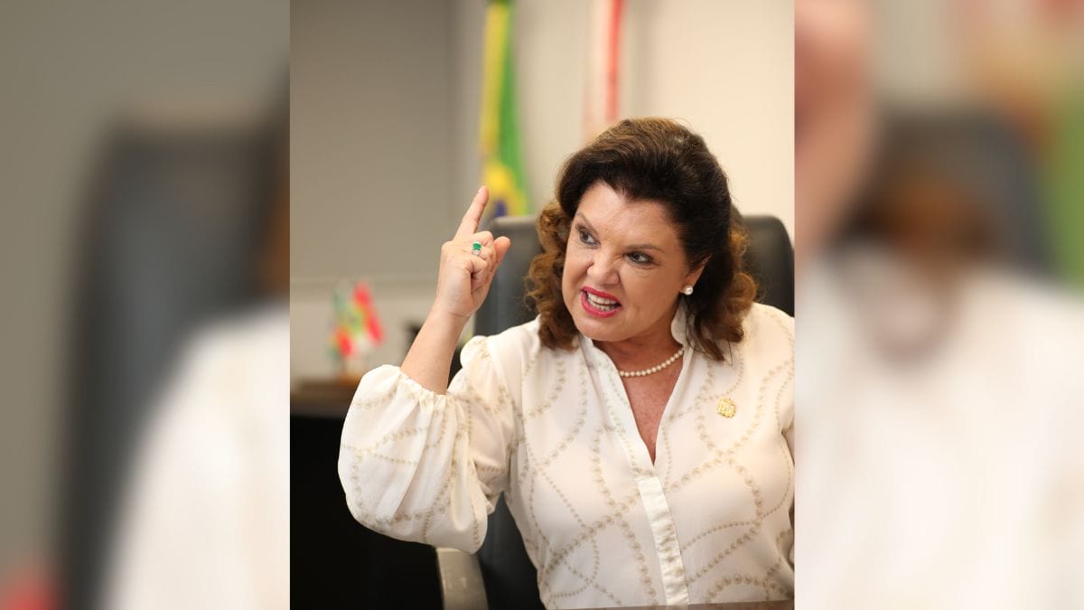 _“Chamava de vossa excelência e era tratada como mulherzinha”, diz vice-governadora de SC