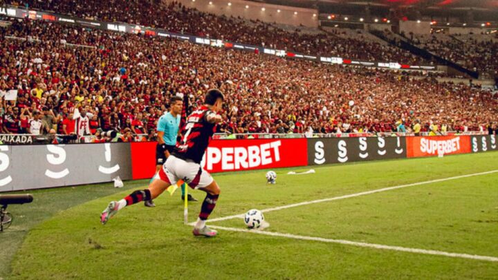 Flamengo na última rodada do Brasileirão (Foto: Divulgação, CRF, Adriano Fontes)