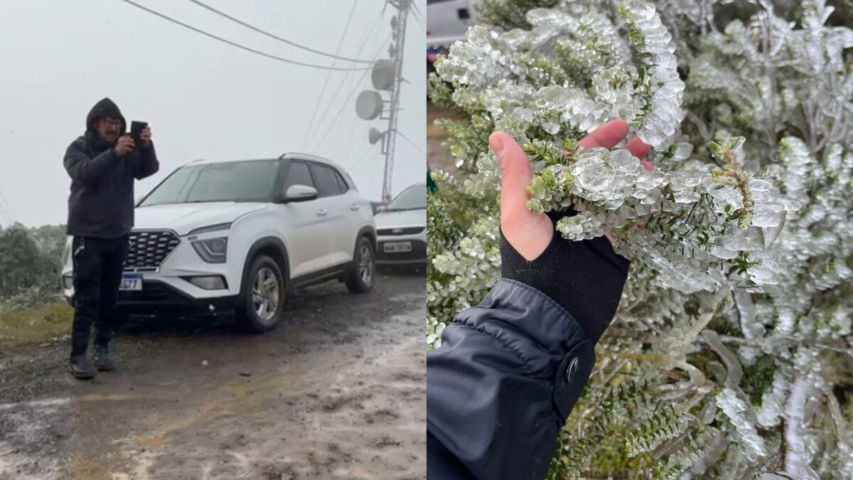 Fotos registram neve em SC (4)