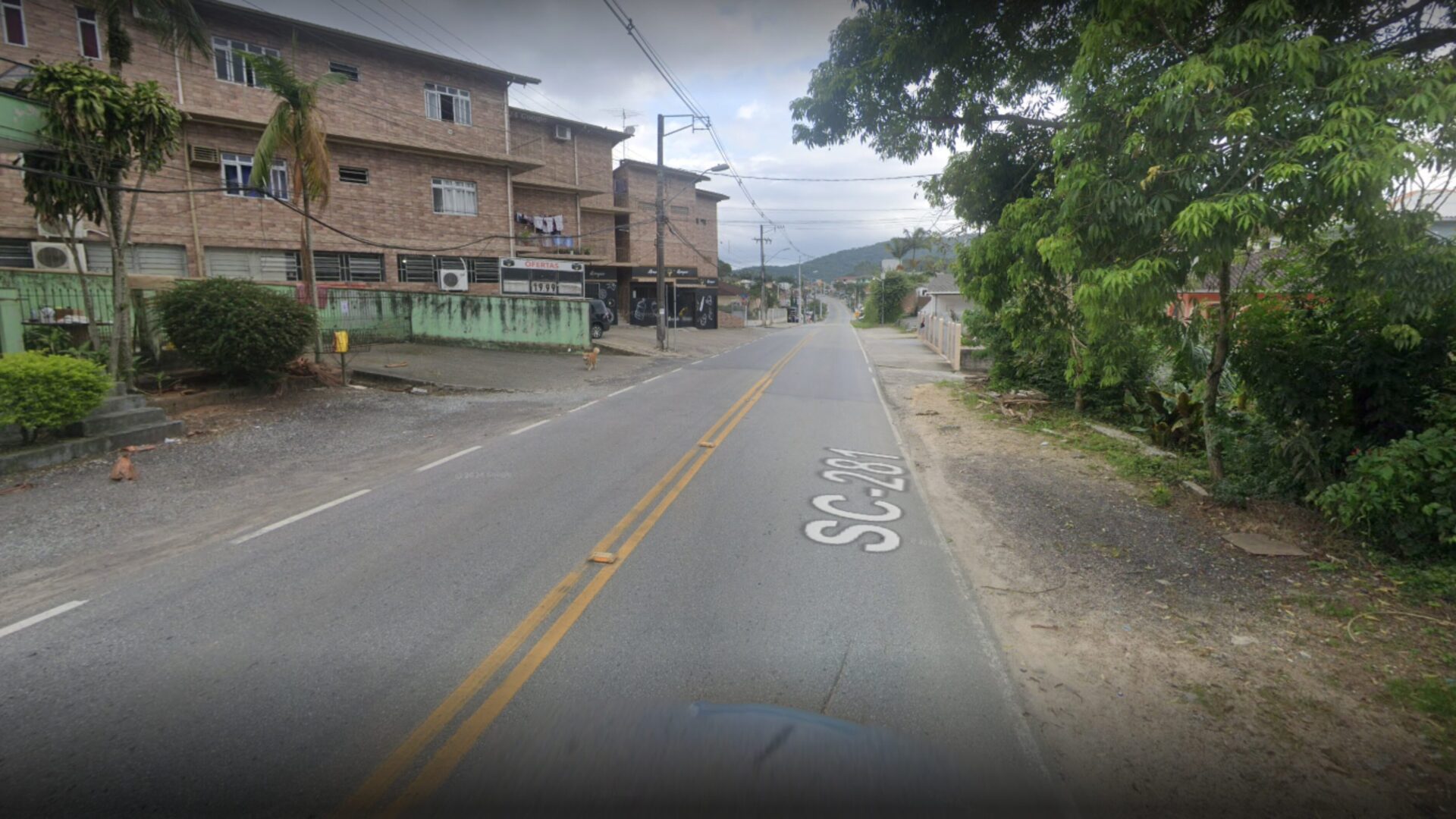 Idosa morre atropelada após motorista se perder em curva em São José