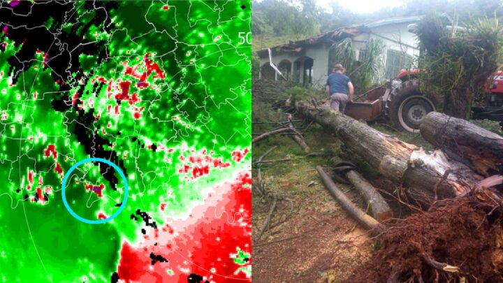Tornado no Oeste de SC teve ventos com velocidade acima de 100 km/h, diz Defesa Civil