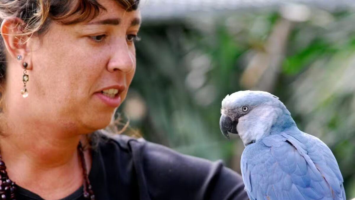 Quem é a brasileira que ganhou o Oscar Verde por trabalho de preservação de onças