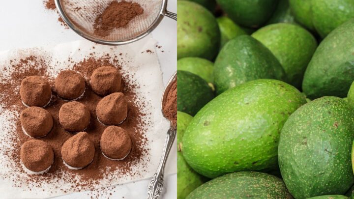 trufa com abacate SOP