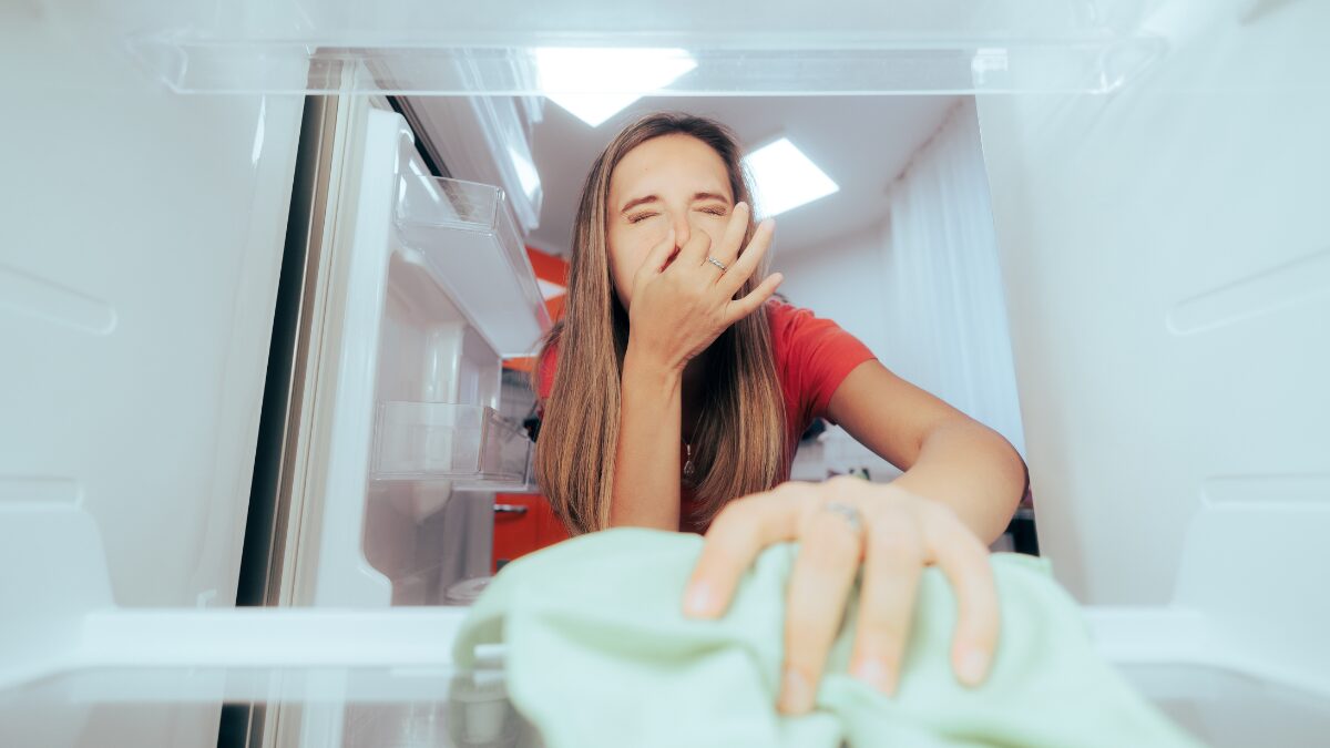 Saiba como limpar a geladeira corretamente e evitar intoxicações alimentares