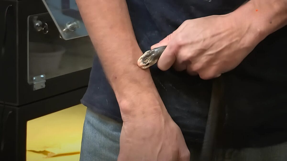 Tim Friede, que vive em Winsconsin, nos Estados Unidos, é o homem que mais levou picadas de cobra do mundo.