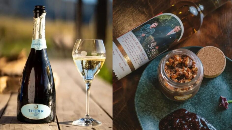 rótulos da serra de SC