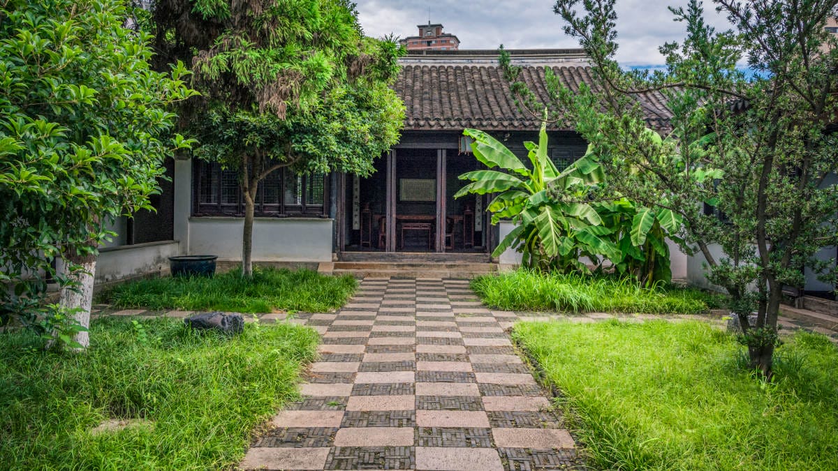 Do Feng Shui ao candomblé, entenda por que espada-de-são-jorge é considerada uma proteção natural para o lar