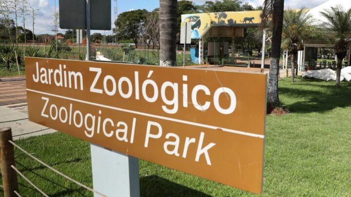 Zoológico de Brasília ainda não tem data para reabertura (Foto: Lúcio Bernardo Jr., Agência Brasília)
