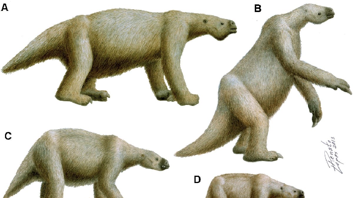 Fóssil mostra que esses animais chegavam a pesar toneladas. Imagem: Renato Lopes/Wikimedia Commons