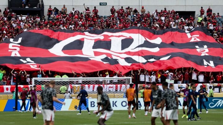 Torcida do Flamengo no jogo contra o Chelsea na Copa do Mundo de Clubes (Foto: Gilvan de Souza, Flamengo)