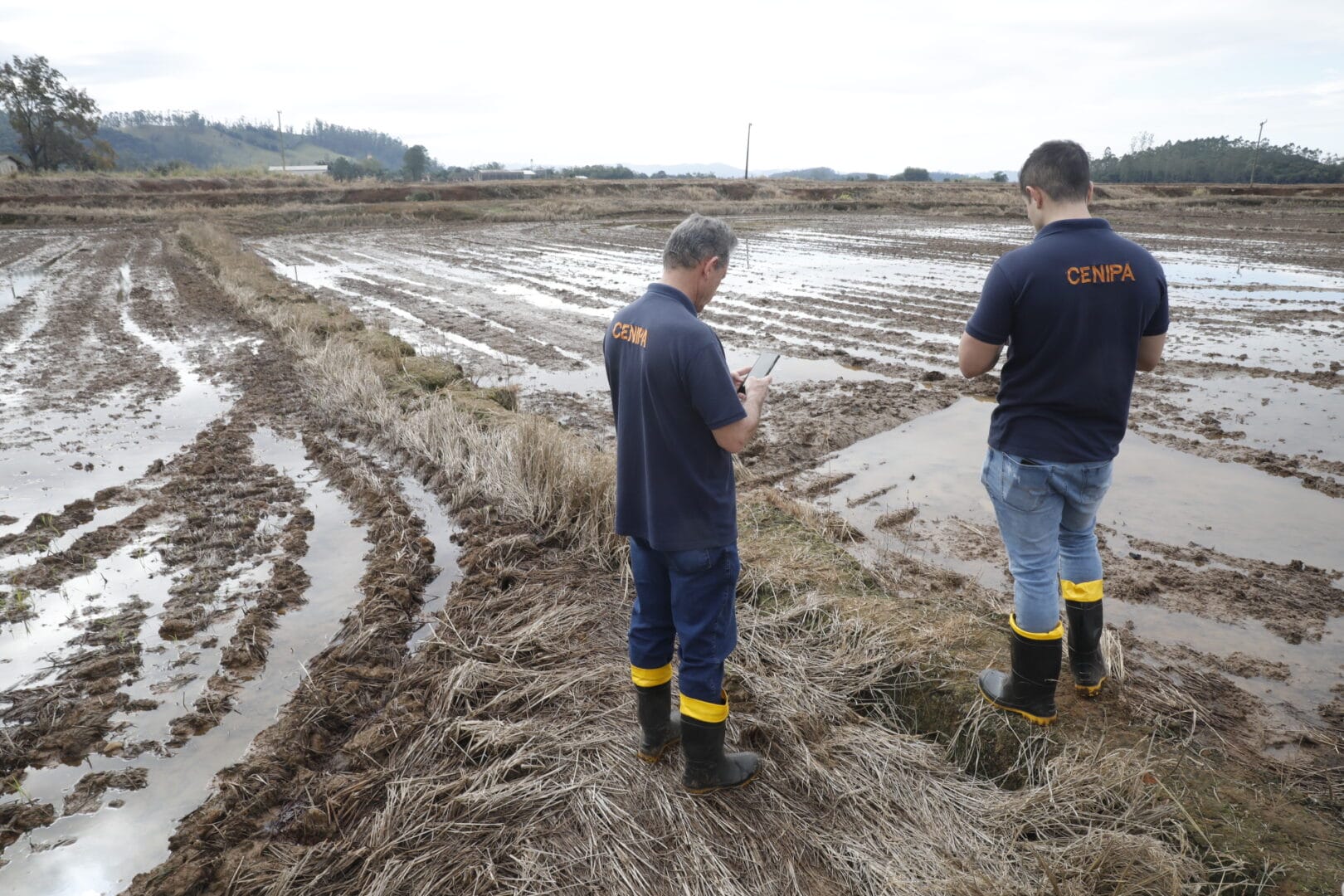 Céu de Praia Grande amanhece sem o colorido dos balões em dia marcado pelo luto (11)