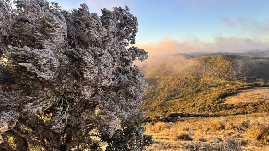 Cidade mais fria do Brasil bate recorde de frio em SC em 2025 (5)