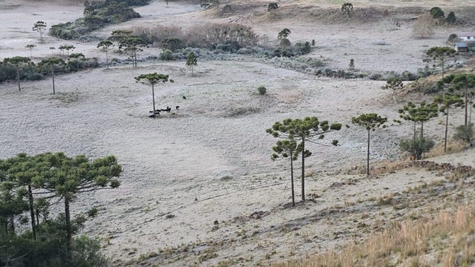 Defesa Civil emite alerta para nova onda de frio com mínima de -4°C e geada em SC