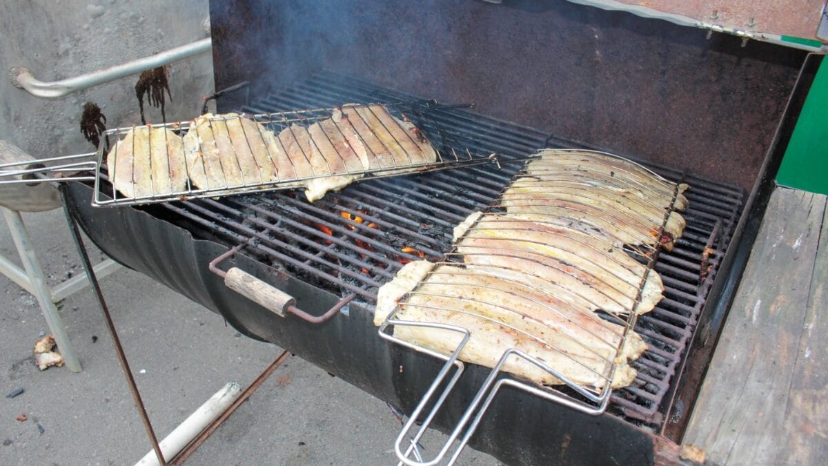 Festa do Peixe de Itajaí volta dia 28 com 15 toneladas de peixe e atrações gratuitas