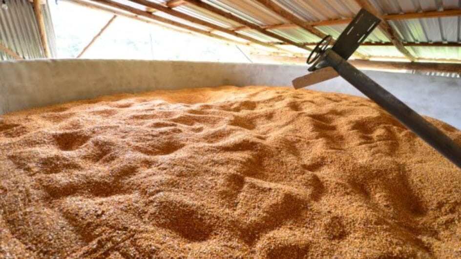 Estrutura de armazenamento de grãos em SC avançou menos do que a produção nos últimos anos (Foto: Epagri, Divulgação)