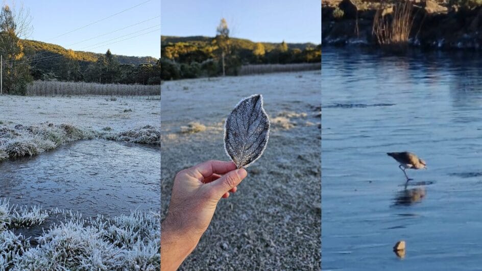 Imagens encantadoras mostram beleza de SC em dia de frio intenso com 47 cidades abaixo de zero