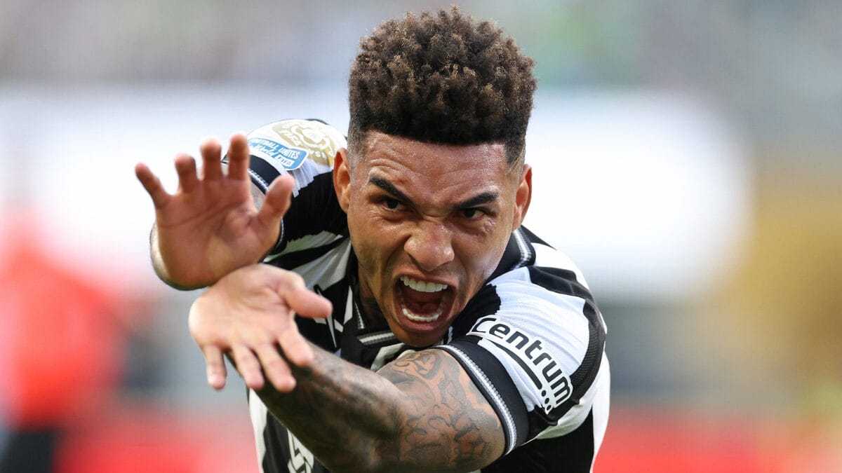 Botafogo 2 x 1 Seattle Sounders (Foto: Vitor Silva, Botafogo)