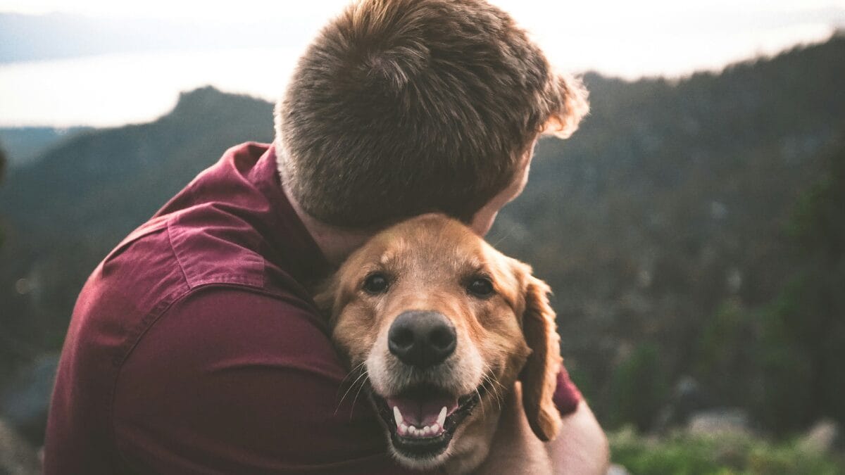 O afeto oferecido pelos pets como forma de preencher vazios emocionais profundos