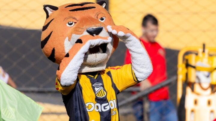 Novorizontino é o mandante da partida (Foto: Higor Basso, Novorizontino)