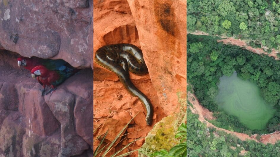 Quem é guardiã de mundo perdido, sucuri gigante que vive isolada em buraco milenar no MS (5)