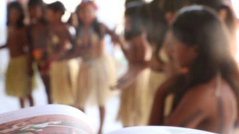 SED de SC tem 90 dias para apresentar cronograma sobre material de educação escolar indígena