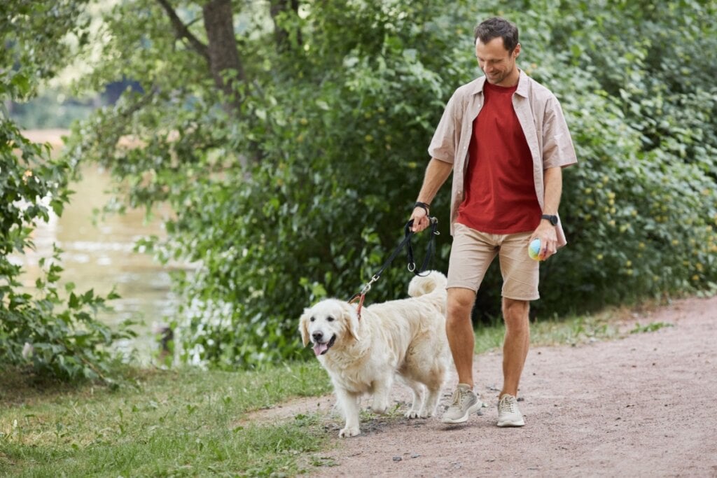 imagem de homem de camiseta vermelha e calÃ§a e camisa bege caminhando com cachorro golden retriever em ambiente externo com Ã¡rvores