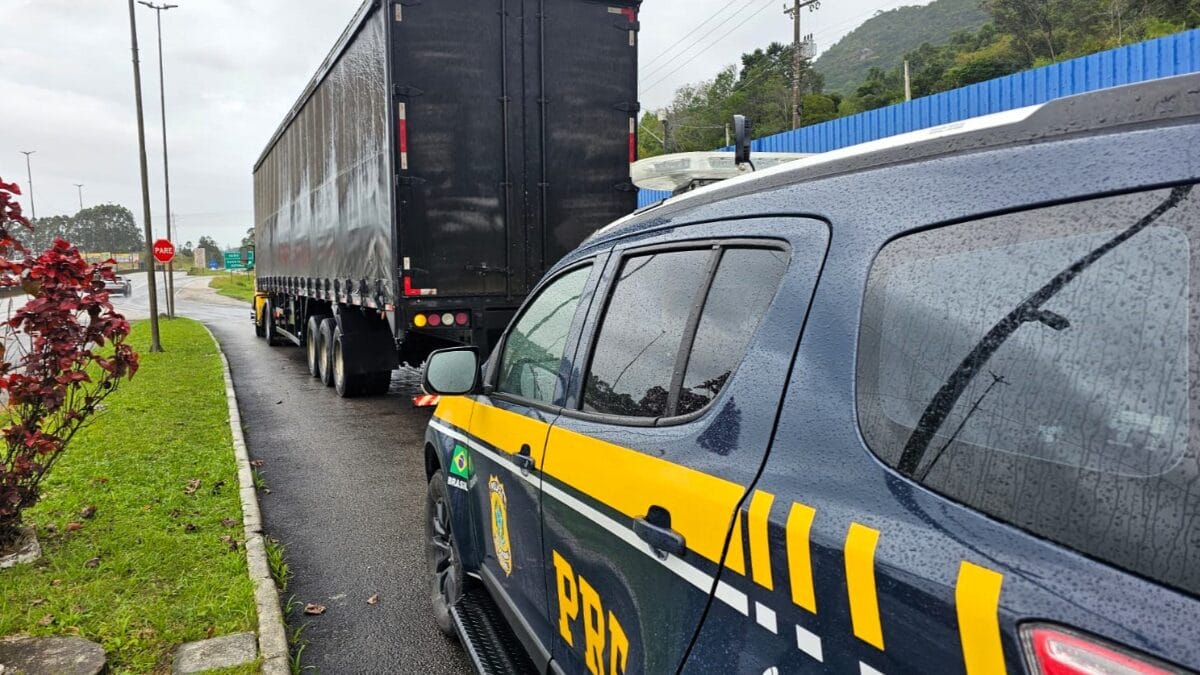 Carga foi interceptada na BR-101 (Foto: PRF, Divulgação)