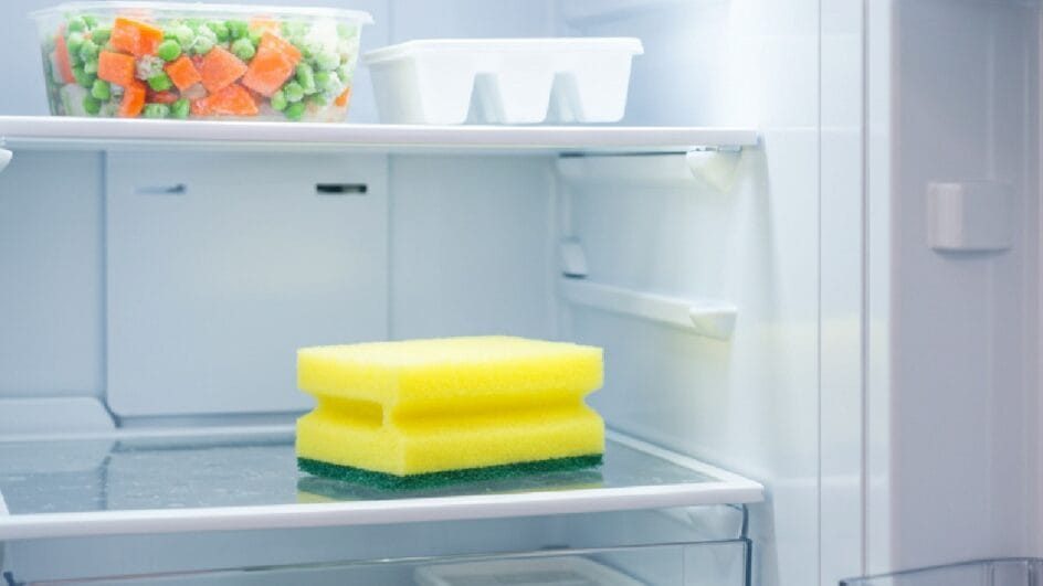 Reutilizar produtos é ecológico e econômico. Imagem gerada por inteligência artificial.