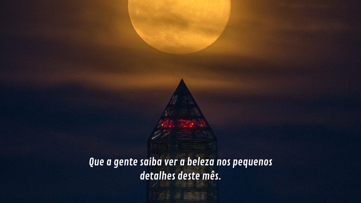 frases para desejar um feliz começo de junho