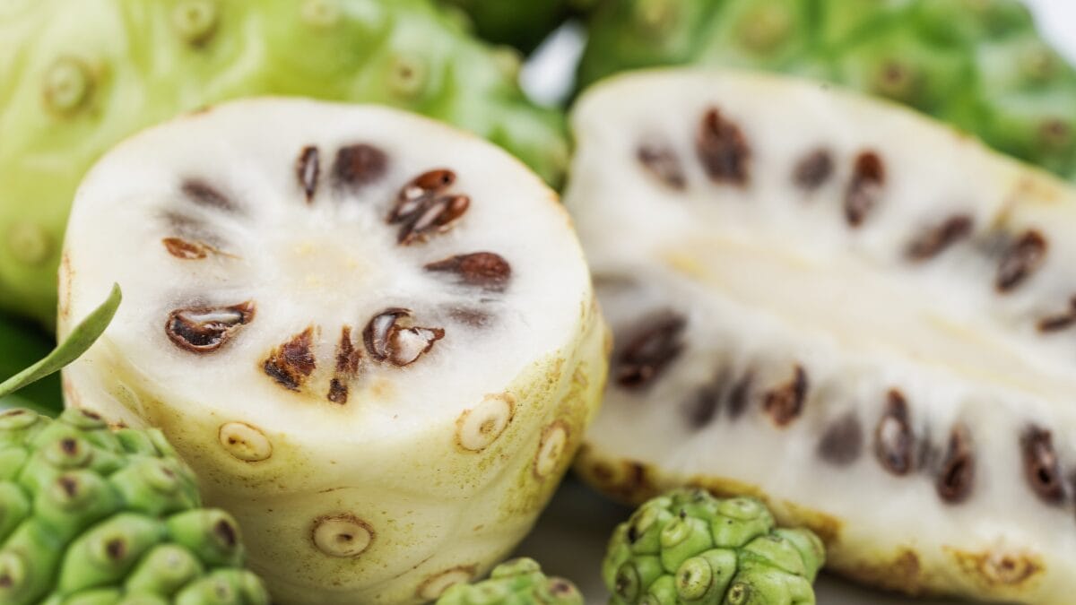 fruta do conde